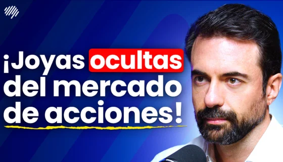 Las Empresas Que Este Gestor de 400 millones Compra Con un 65% de Descuento | Javier Ruiz